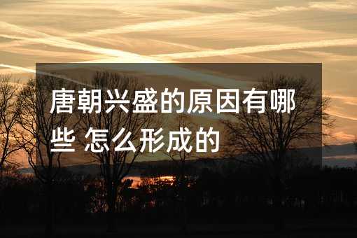 唐朝兴盛的原因有哪些 怎么形成的