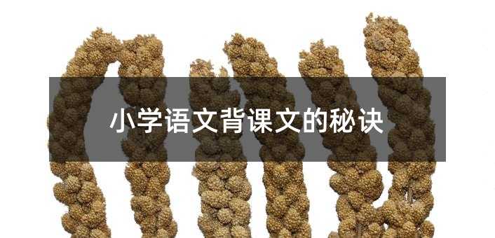 小学语文背课文的秘诀