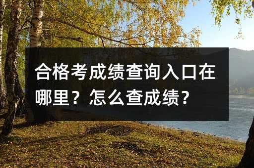 �ϸ񿼳ɼ���ѯ����������ô��ɼ���