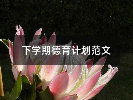 下学期德育计划范文