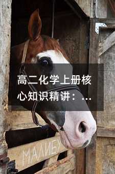 �߶���ѧ�ϲ����֪ʶ������Ũ���뷴Ӧ���ʵĿ�ѧ����