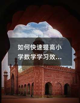 如何快速提高小学数学学习效率?