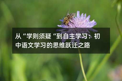 ӡѧɡѧϰѧϰ˼άԾǨ֮·