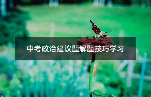 中考政治建议题解题技巧学习