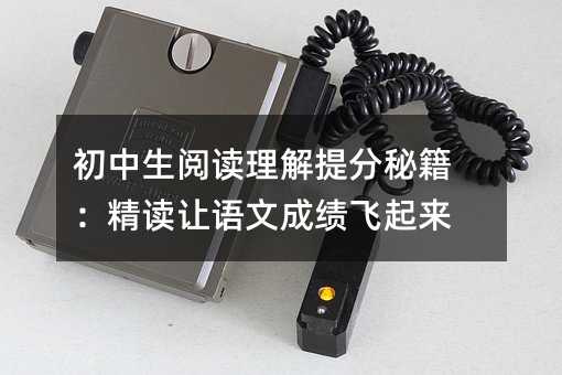 初中生阅读理解提分秘籍:精读让语文成绩飞起来