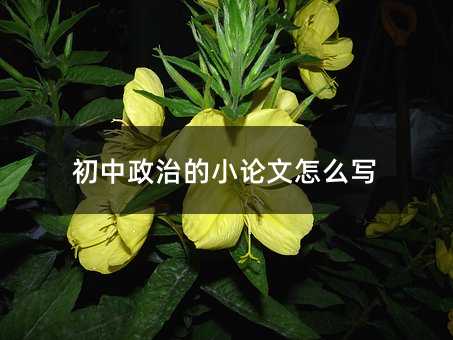 初中政治的小论文怎么写