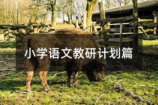 小学语文教研计划篇