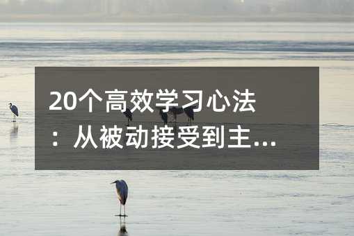 20个高效学习心法:从被动接受到主动征服
