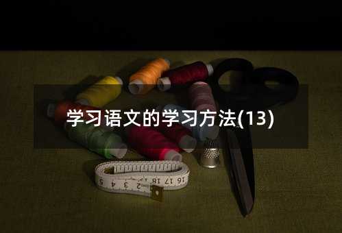 ѧϰ���ĵ�ѧϰ����(13)