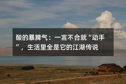 ��ı�Ƣ����һ�Բ��Ͼ͡����֡���������ȫ�����Ľ�����˵