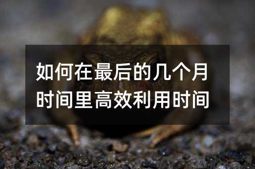 如何在最后的几个月时间里高效利用时间