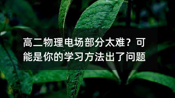 高二物理电场部分太难?可能是你的学习方法出了问题