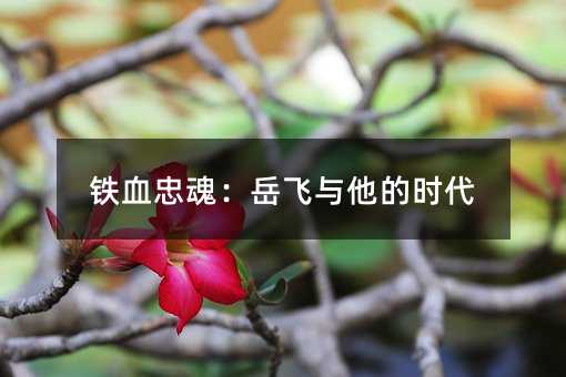 铁血忠魂:岳飞与他的时代