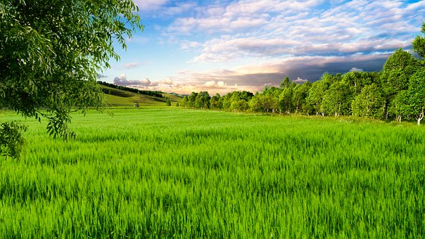 �п��ɼ����㼰�ȼ�����