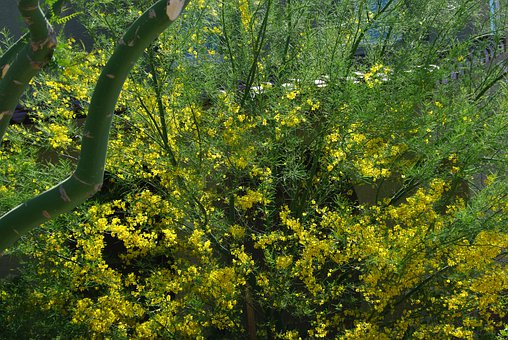 雅思听力多项选择题题技巧 先审题再适当预测