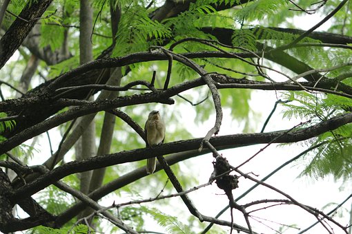 ����ã����ӳ�����ܼ�ס��ĸʲô