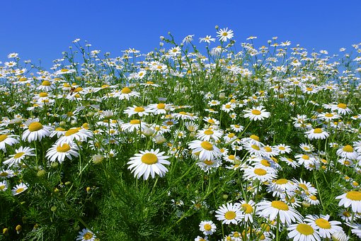 �ҳ�����ʦ���������ձ� �������������������