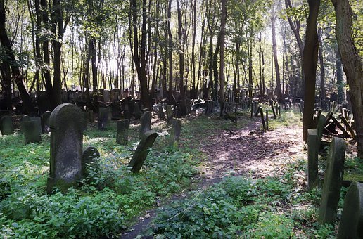 雅思写作中那些多样化句型之从句的应用技巧